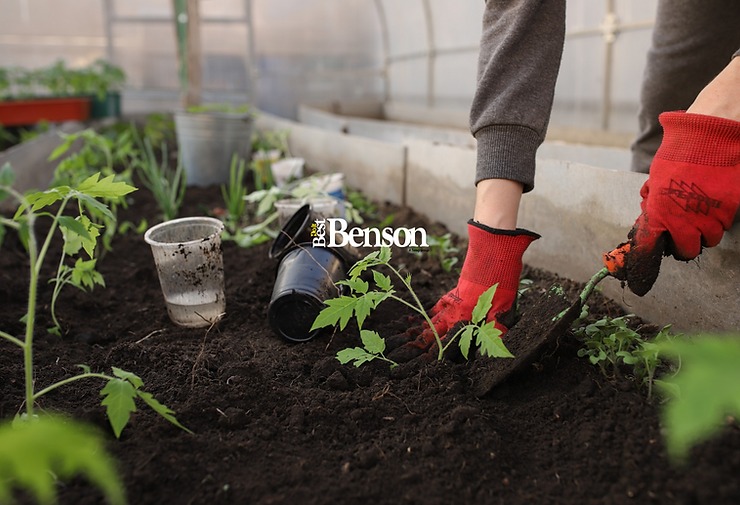 You are currently viewing GARDENING FOR BEGINNERS